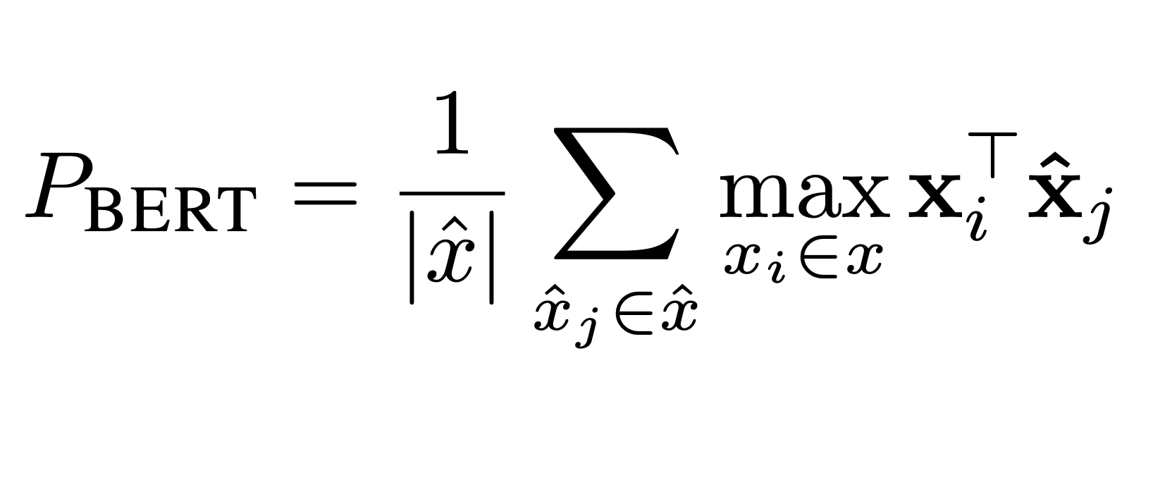 Mathematical equation for BERTPrecision